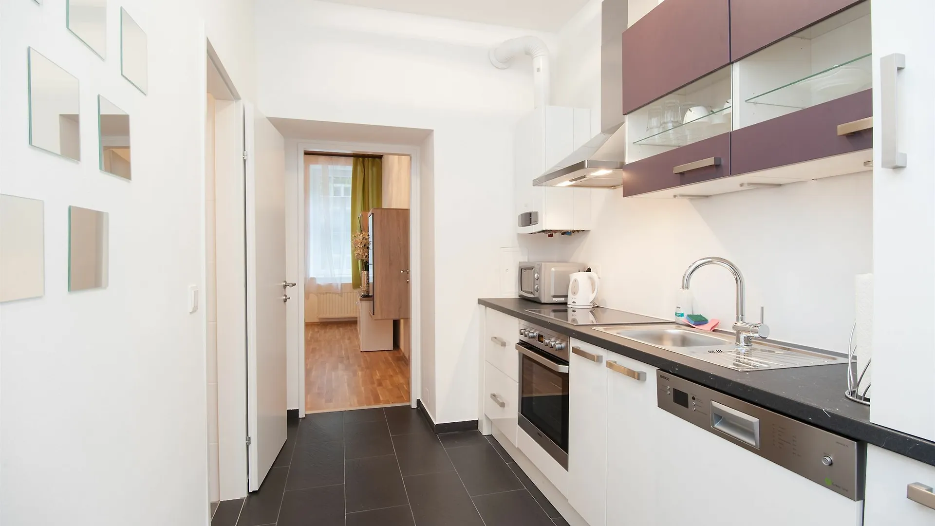 Royal Resort Apartments Puchsbaumgasse فيينا 0*,